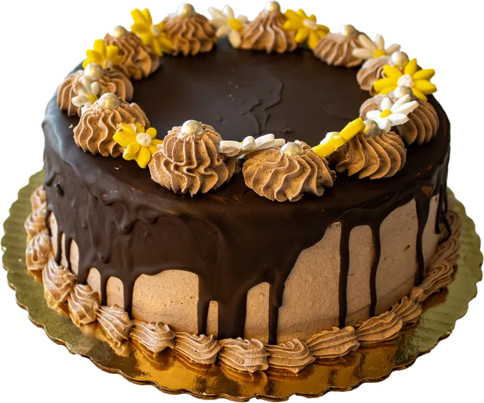 Chocolate drip cake with piped rosettes